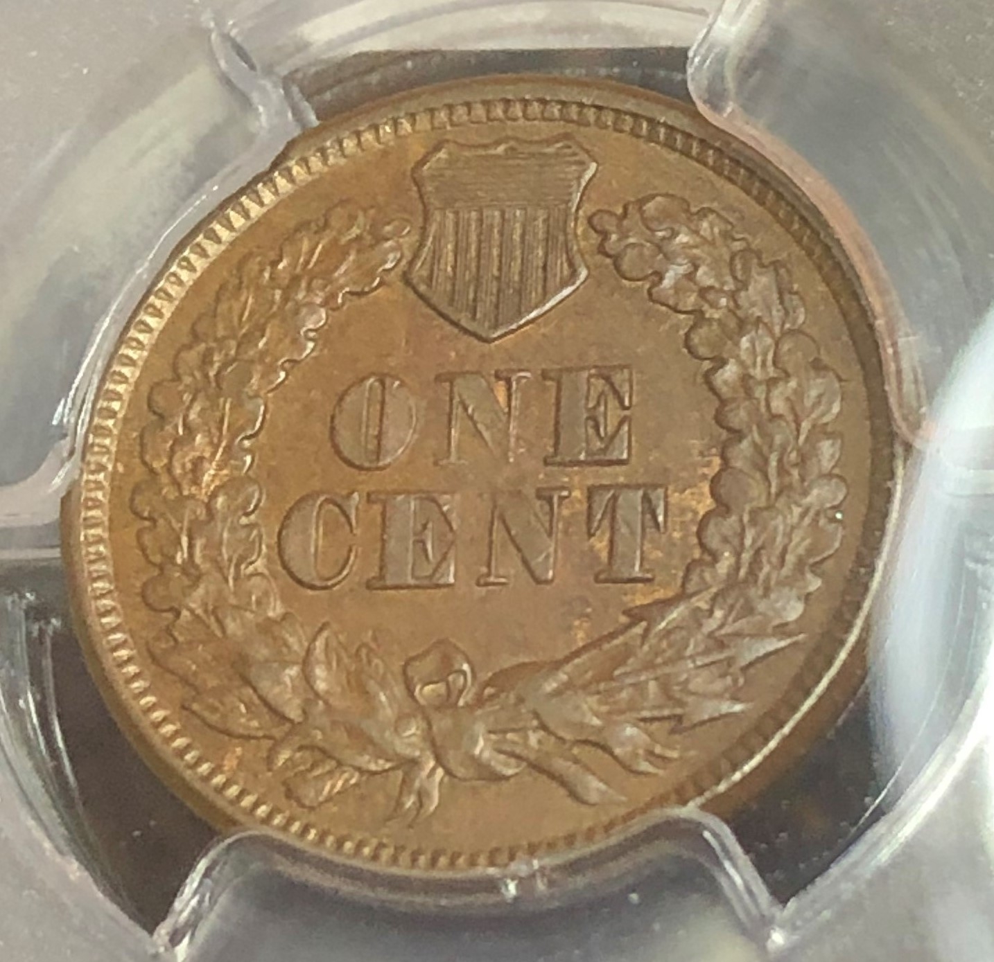 1877 1C Indian Cent PCGS AU55 - The Penny Lady®