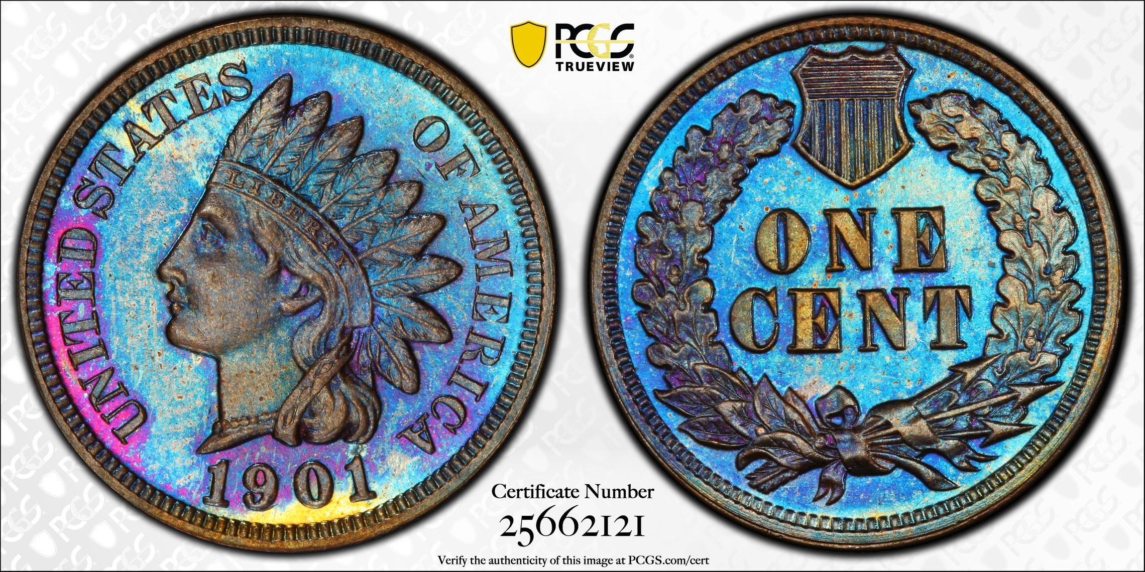 1901 1C Indian Cent PCGS PF66BN - Toned - The Penny Lady®